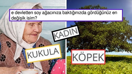 Soyağaçlarında Gördüğü En Garip İsimleri Paylaşan Kişilerin Güldüren Tweetleri