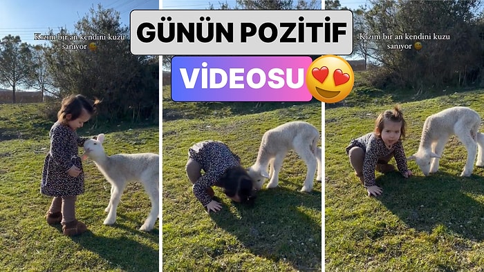 Günün Pozitif Videosu: Kuzuyu Sevmeye Çalışan Minik Kızın Bir Anda Kendisini Kuzu Zannettiği Anlar