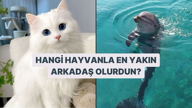 Hangi Hayvanla En Yakın Arkadaş Olurdun?