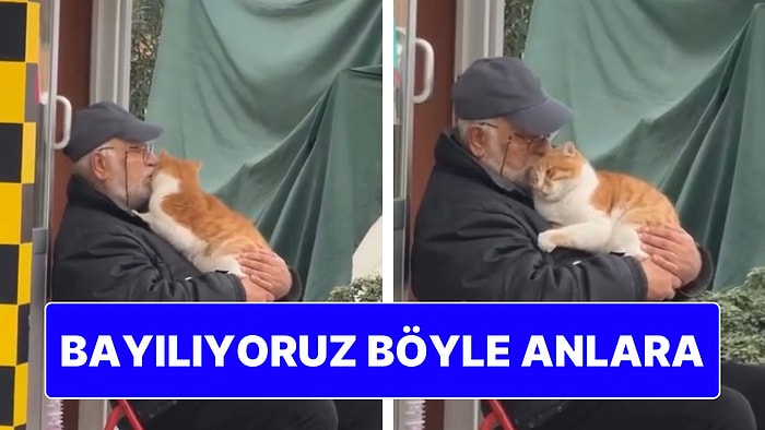 Taksi Durağında Beklerken Aşk Yaşayan Kedi ile Amca Görenlerin İçini Isıttı