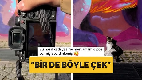 Poz Vermesi İstenince Gerekeni Yapan Akıllı Kedi O Anlarıyla Tebessüm Ettirdi