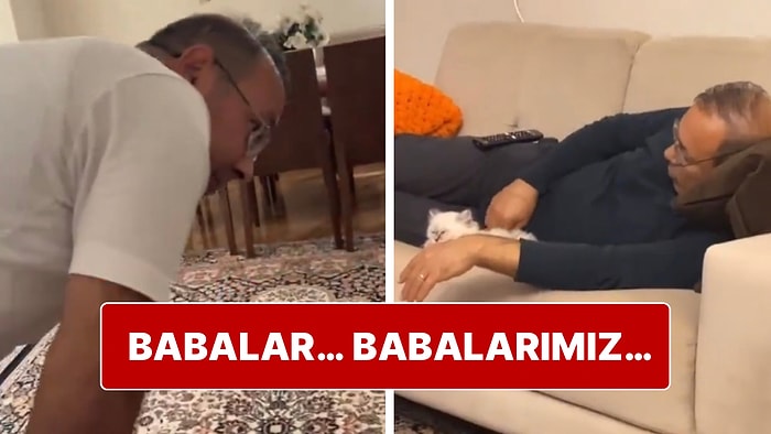 “Evde Kedi İstemem” Diyen Babanın 3 Gün İçerisindeki Değişimi Şaşırtmadı