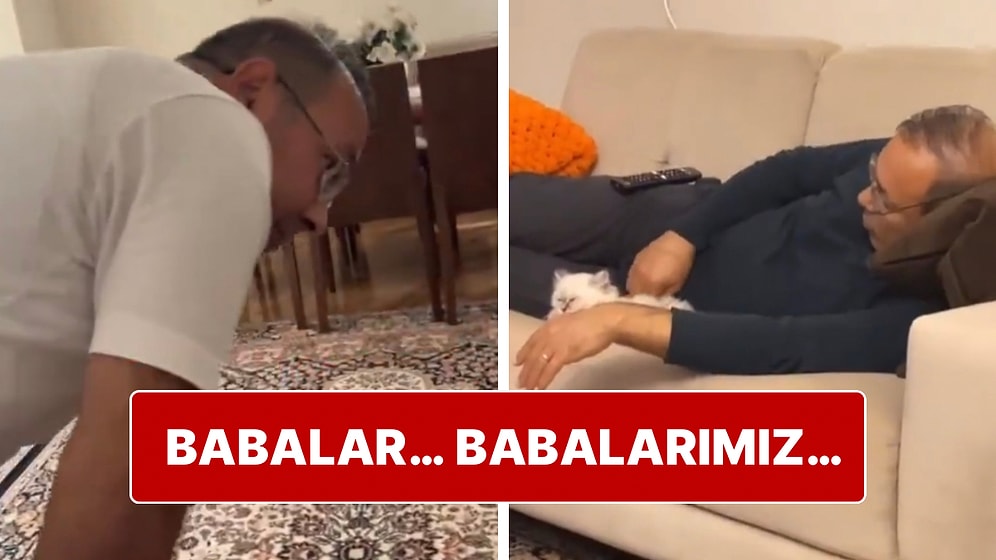 “Evde Kedi İstemem” Diyen Babanın 3 Gün İçerisindeki Değişimi Şaşırtmadı