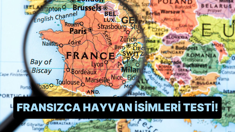 Fransızca Hayvan İsimleri Testinde Full Çekebilir misin?