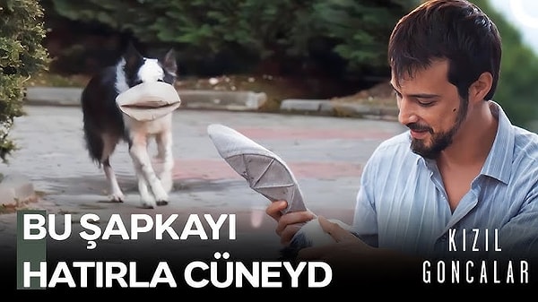 Aşık, Cüneyd'in can yoldaşı köpeğiydi. Selim, köpeğin kendisini görünce havlamasına sinirlendi.