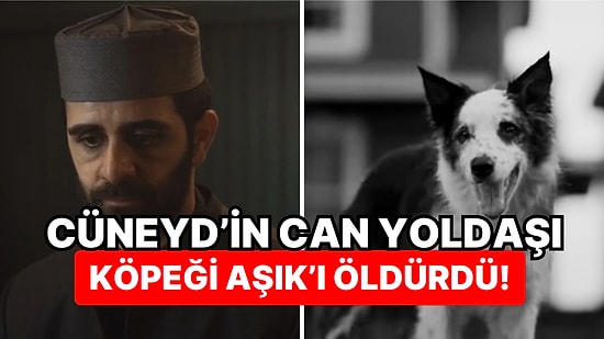 Kızıl Goncalar'a Yeni Gelen Psikopat Karakter Selim'in Cüneyd'in Köpeğini Öldürmesi Tepki Çekti!