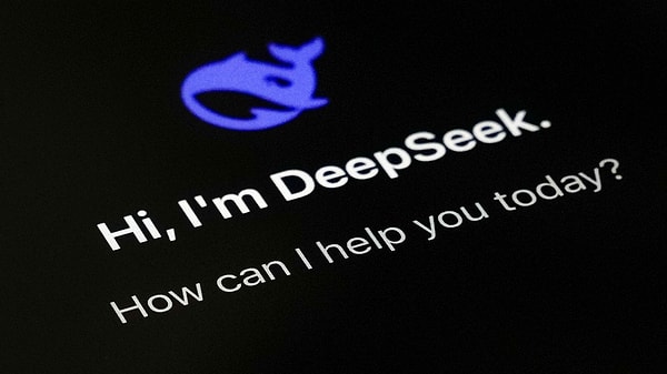 However, DeepSeek began to be banned in some countries.