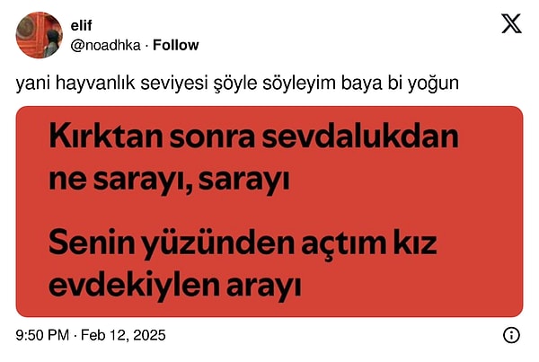 Karmaşık ilişkiler de var.