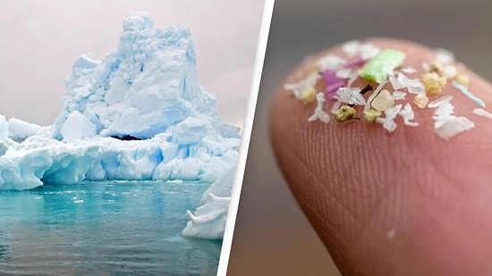 Scientists Discover Microplastics in the Most Remote Corners of Antarctica