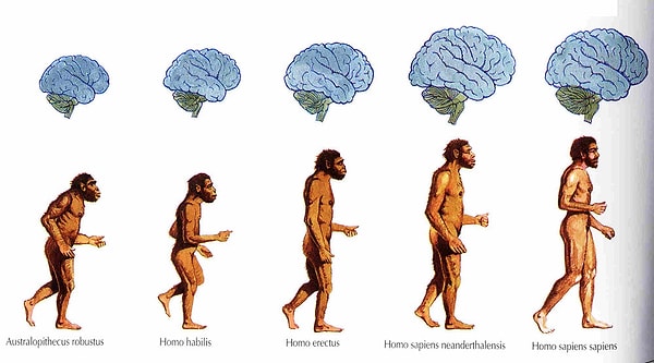 So, how will humans look in 1000 years?