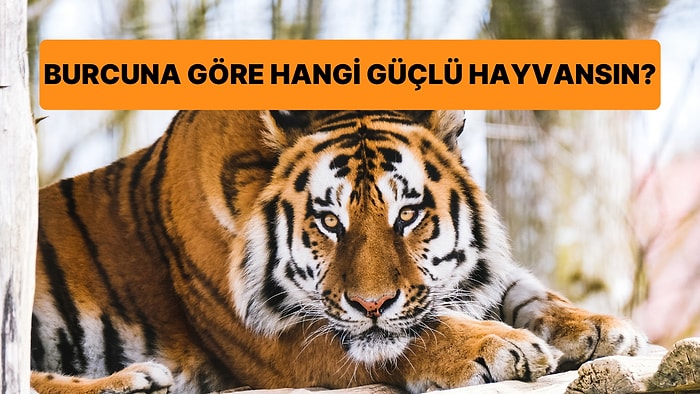 Burcuna Göre Hangi Güçlü Hayvansın?