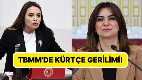 TBMM'de Kürtçe Krizi: İYİ Parti ve DEM Partili Vekiller Birbirine Girdi