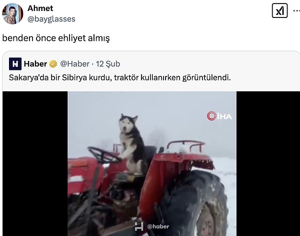 Yediği ayazı unutmuş gibi...