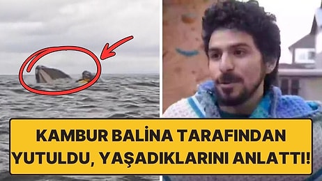 Bir Kanocu Balinanın Ağzından Kurtulma Hikayesini Anlattı: "Yüzümde Balçık Dokusu Hissettim!"