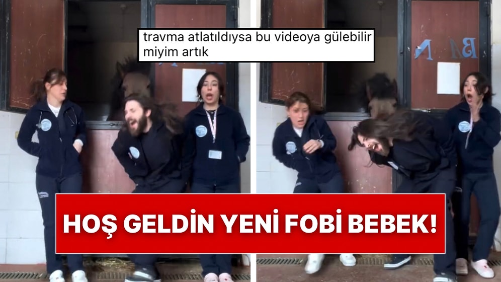 Yeni Fobi Alarmı: Veterinerlik Öğrencisi Ata Sırtını Dönünce Aldığı Darbeyle Panik Dolu Anlar Yaşadı