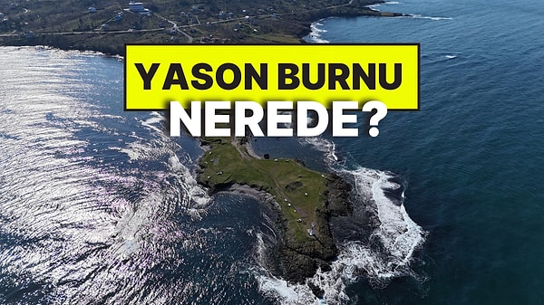 Kapak Görseli