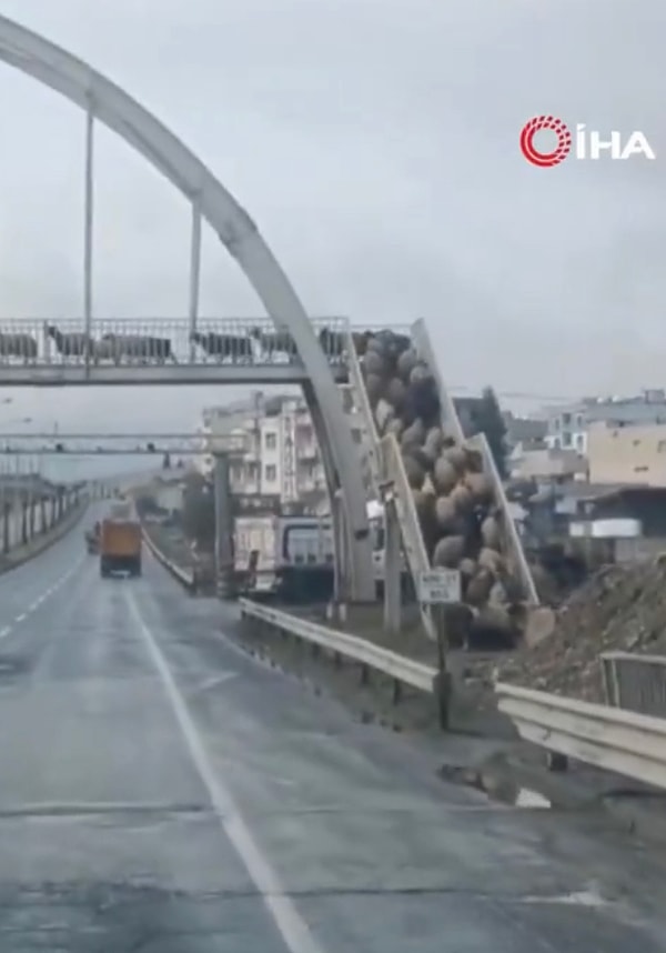 Cizre’de çevre yolu okullar bölgesinde kayda alınan görüntülerde koyunların sürü olarak üst geçidi kullandığı görülüyordu.