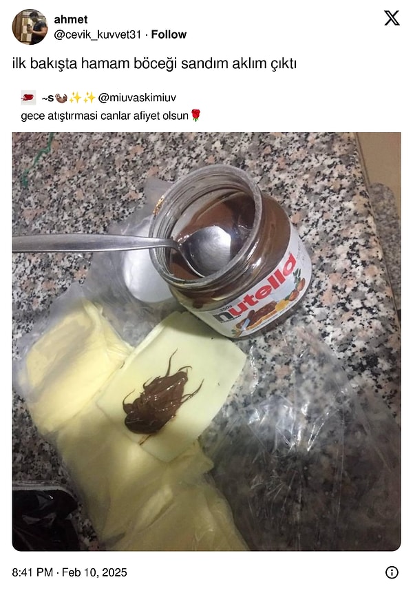 Gregor Samsa bir sabah ürkütücü düşlerinden uyandığında...