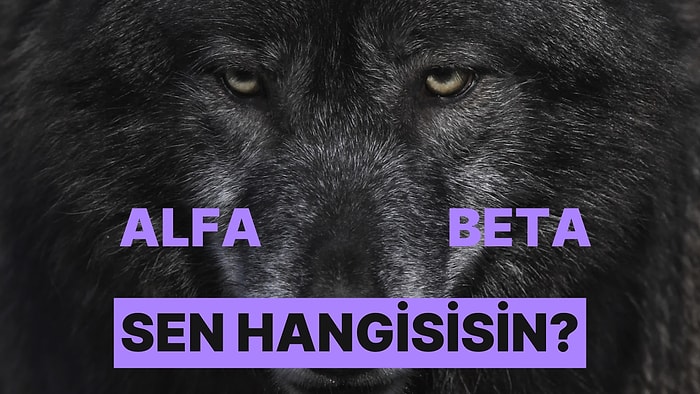 Burcunun Karakterine Etkisi: Sen Alfa mısın Beta mı?