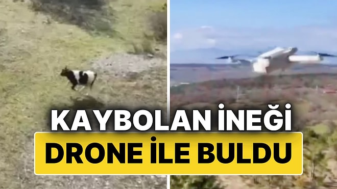 Karabük'te Kaybolan İnek Drone Yardımıyla Sahibine Kavuşturuldu