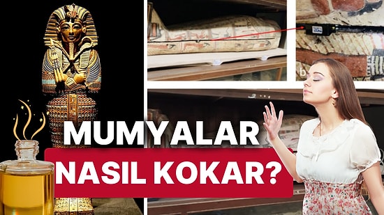 Mumyalar Nasıl Kokar? Antik Mısır Mumyaları Yüzyıllar Sonra Bile Güzel Kokuyor!