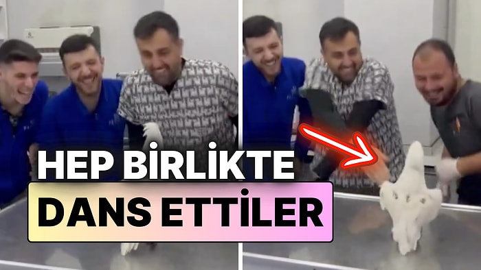 Mersin’de Dört Veterinerin, Tedavi İçin Kliniğe Getirilen Papağanla Dans Ettiği Anlar Viral Oldu!