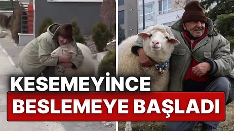 Kuzuyken Aldığı Pamuk, 4 Yıldır Halil İbrahim Şavır’ın Yanından Ayrılmıyor!