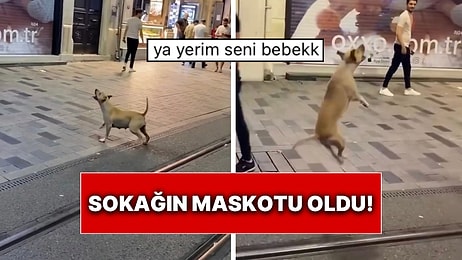 İstanbul Taksim’de Bir Köpeğin Balonla Oyun Oynadığı Anlar Kalplerimizi Eritti