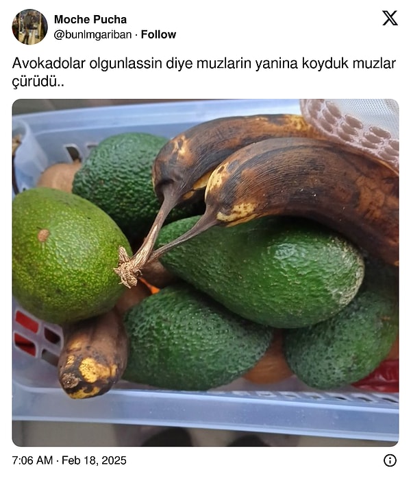 Kötü örnek olmuş.