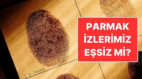 15. Parmak İzlerimiz Yıllardır Bize Söylendiği Gibi Gerçekten Eşsiz mi?