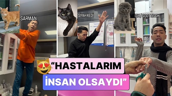 "Hastalarım İnsan Olsaydı": Bir Veteriner Hekim Kliniğine Gelen Kedilerin Taklidini Yaptı