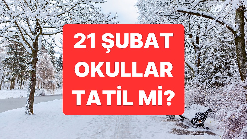 Yarın Okullar Tatil mi? 21 Şubat 2025 Kar Tatili Olan İller Hangileri?