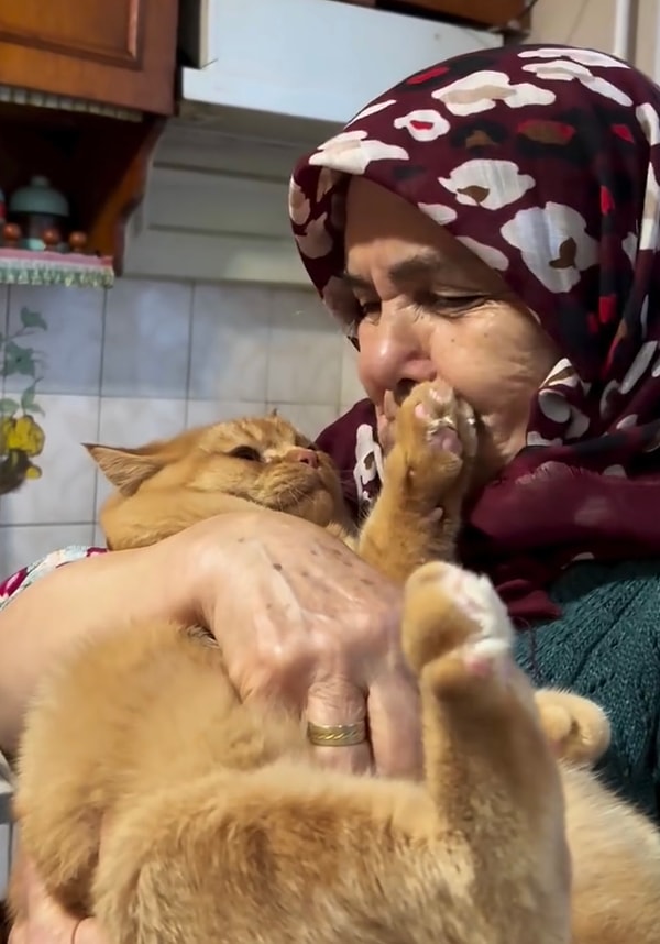 E tabi sarman dostumuz da kendisine olan sevgiyi farkında olduğu için o anların tadını çıkarmakla meşguldü.