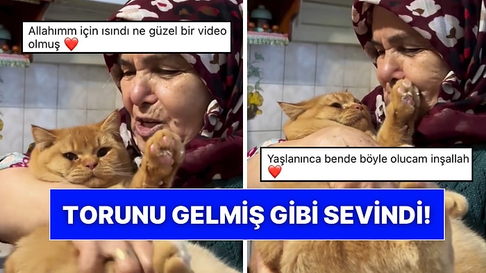 Pamuk Gibi Olduk: Torunu Ziyarete Gelirken Kedisini de Getirince Dünyalar Yaşlı Teyzemizin Oldu!