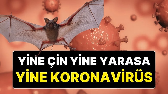 Yine Yarasalar, Yine Aynı Kabus! Çin’de, İnsanlara Bulaşabilen Yeni Bir  Koronavirüs Keşfedildi