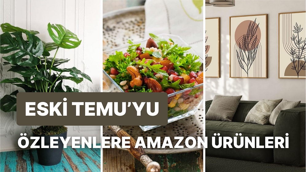 Eski Ucuz Temu’yu Özleyenler İçin Yerini Doldurmaya Aday 22 Şubat 2025 Amazon Ürün Önerileri