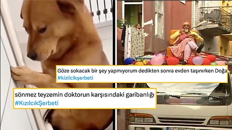 Kızılcık Şerbeti'ni Mizahına Alet Ederek Hepimizi Güldüren Goygoyseverler