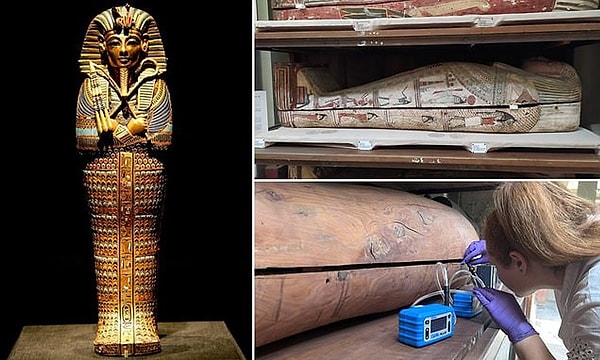 Decoding the Mummies' Scent Profile