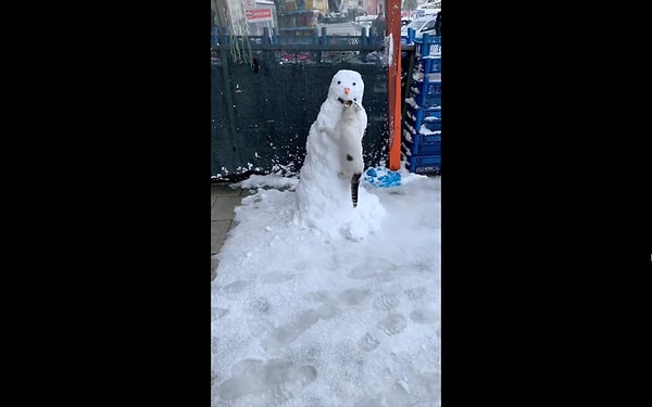 Kedilerin zeytini çok sevdiği bilinir bildiğiniz üzere. Bir kedi, sokağa yapılan kardan adama takılan zeytinleri yemeye çalışırken yakalandı.