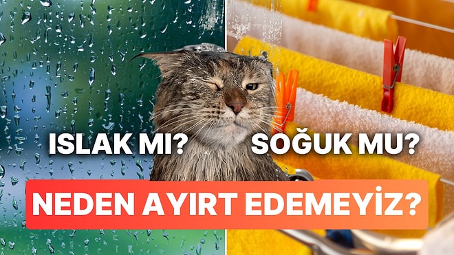 Islak mı, Soğuk mu? İnsanların Ayırt Edememe Sebebi Aslında "Islaklığı" Algılayan Sinirlerinin Olmaması!