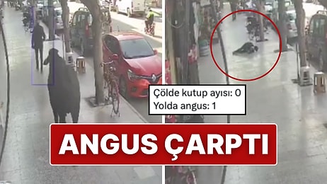 Hatay'da Firari Angus Şehirde Kaosa Neden Oldu: Bir Kişi Yaralandı