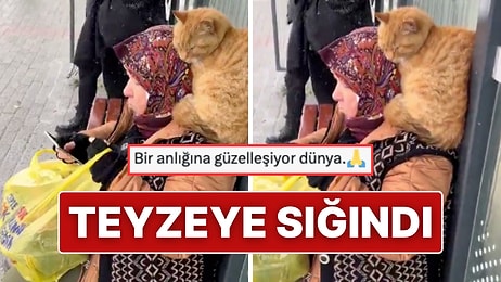 Otobüs Durağında Kalpleri Isıtan An: Üşüyen Kedi Teyzenin Omzuna Sığındı