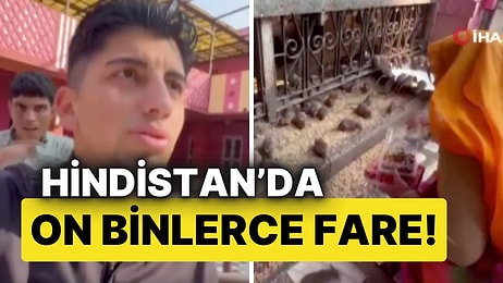 Hindistan’da On Binlerce Fareyle Karşılaşan Elazığlı Gezgin, Gözlerine İnanamadı!