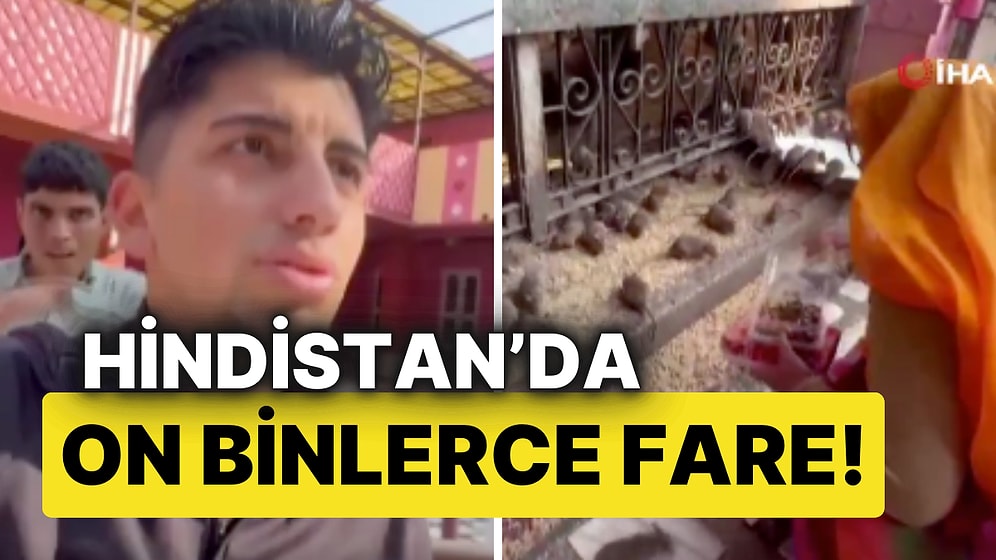 Hindistan’da On Binlerce Fareyle Karşılaşan Elazığlı Gezgin, Gözlerine İnanamadı!