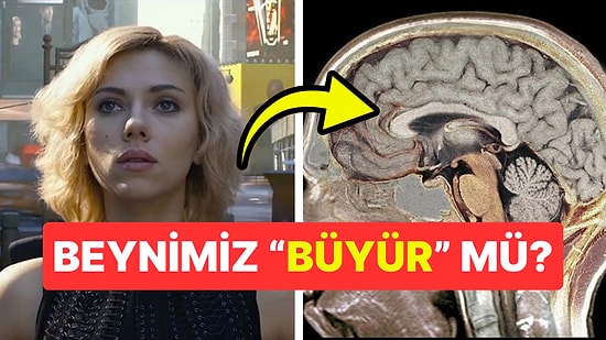 İnsan Beyni Gerçekten Sınırlarını Zorlayabilir mi? Zihinsel Kapasitemizi Aşmanın Yolları