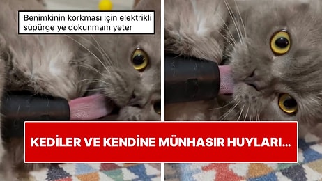 Hani Süpürgeden Korkuyorlardı? Bir Kedi Süpürgeye Dilini Kaptırarak Oyun Oynadığı Anlarla Güldürdü