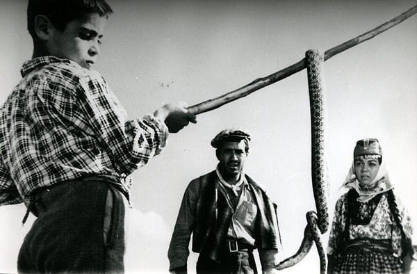 7. Yılanların Öcü (1962)