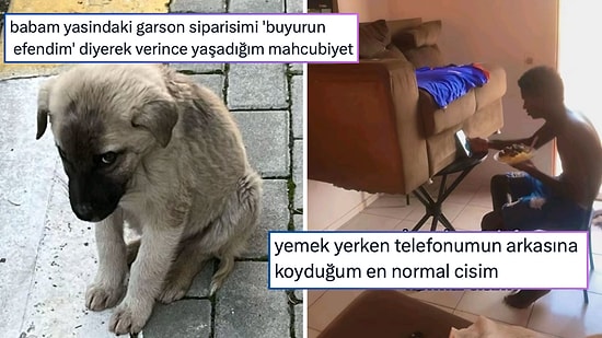 Devamsızlık Hakkı Biten Kediden Zenginlerin Amaçsız Hayatlarına Son 24 Saatin Viral Tweetleri