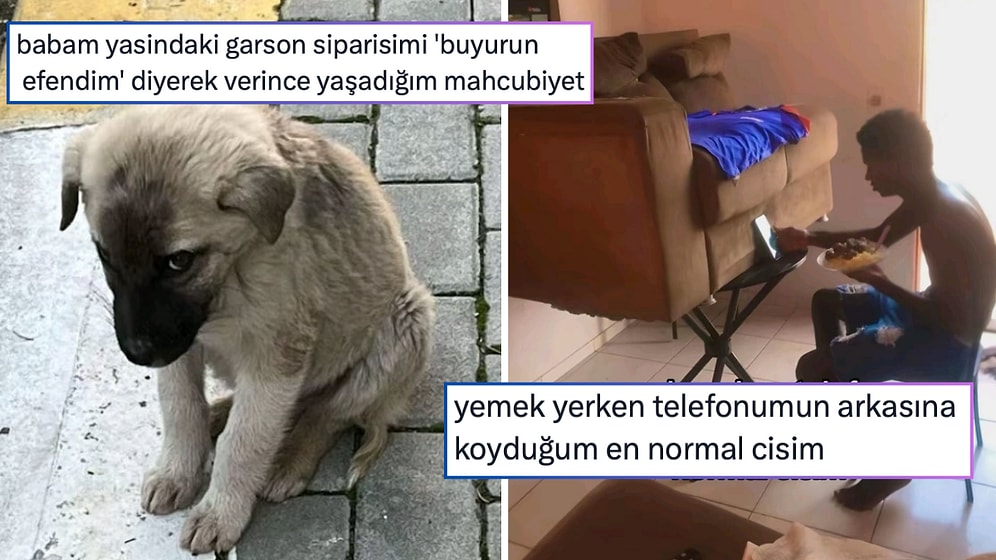 Devamsızlık Hakkı Biten Kediden Zenginlerin Amaçsız Hayatlarına Son 24 Saatin Viral Tweetleri