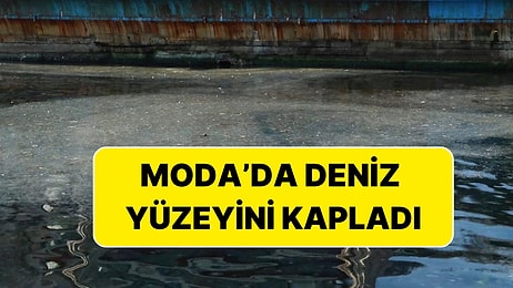 Müsilaj Kabusu Geri Döndü: Adalar’da Başladı, Moda’ya Ulaştı